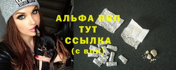 твердый Аркадак