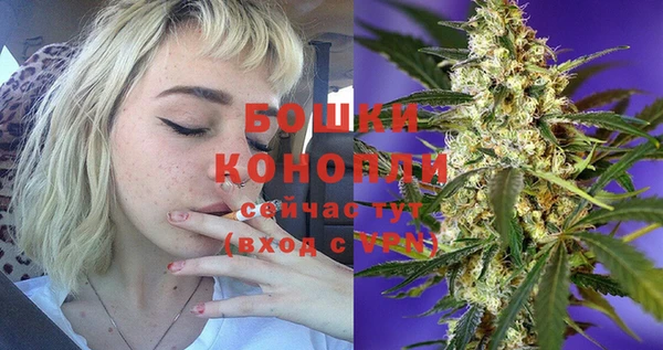 стафф Армянск