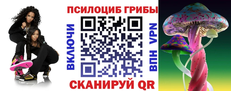 Псилоцибиновые грибы мицелий  Купино 